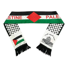 Load image into Gallery viewer, Solidarity Sash