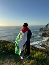 Load image into Gallery viewer, Solidarity Flag