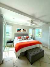 Load image into Gallery viewer, False Fossils