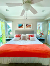 Load image into Gallery viewer, False Fossils