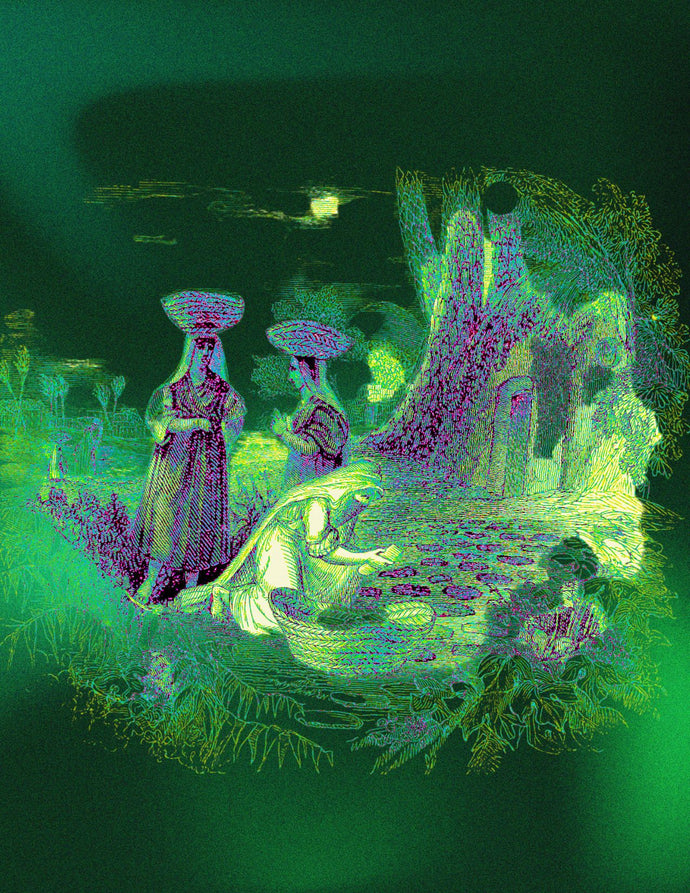Digital artwork and physical print depicting a historical scene from Palestine, featuring village women in traditional attire. The image is infused with bright green colors, symbolizing the lush landscape and cultural heritage of the region.
